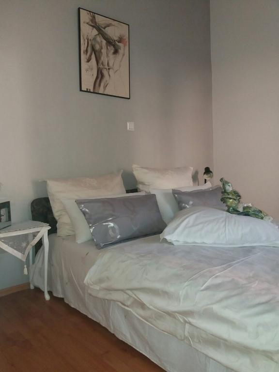 שיבניק Apartments Nanut מראה חיצוני תמונה